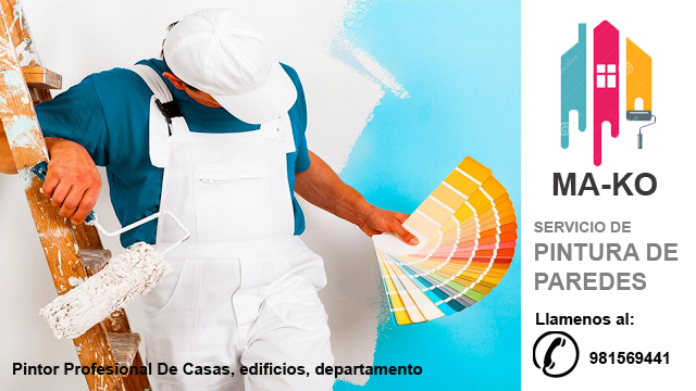 Pintor Profesional De Casas, edificios, departamento